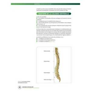 Anatomie du footballeur