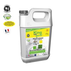 Lot de 12 désinfectant multi-usages - 5L