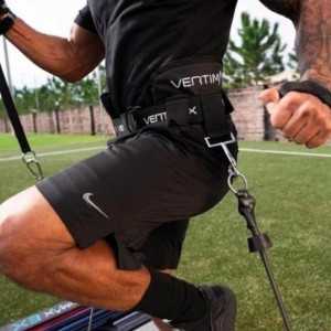 Ceinture pour Vertimax - Waist