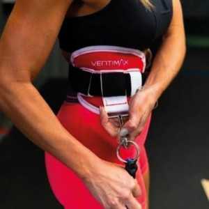 Ceinture pour Vertimax - Waist