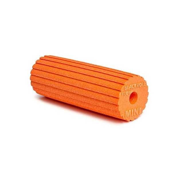 Rouleau Blackroll Standard