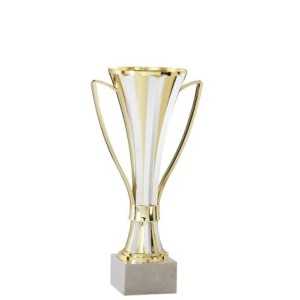Coupe Or/Argent à poignées - 22 cm