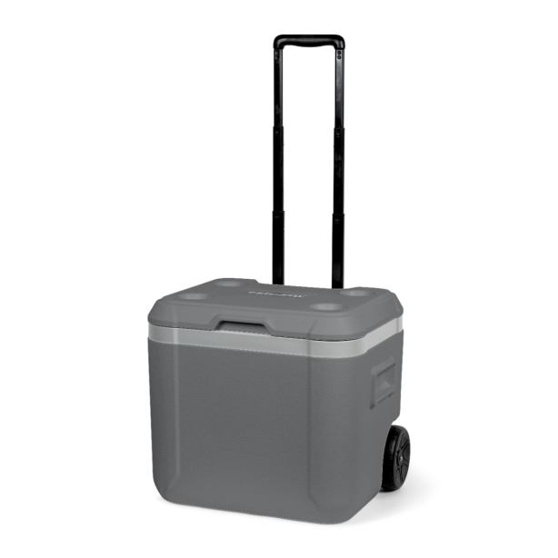 Steamy Cool cooler - 52 liters - Grey