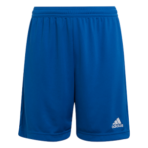 Set of Adidas Children's Shorts Royal Blue - Entrada 22