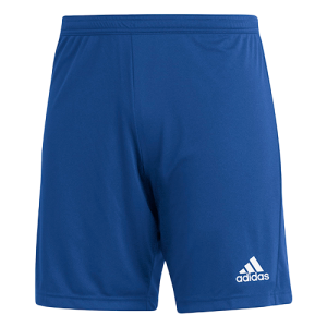 Set of Adidas King Blue Shorts - Entrada 22