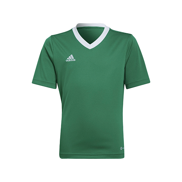 Maillot Adidas Enfant - Vert - Entrada 22