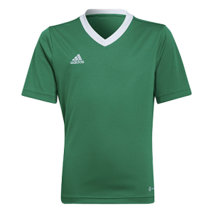 Lot de Maillots Adidas Enfant - Vert - Entrada 22