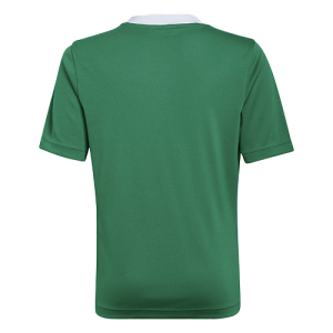 Maillot Adidas Enfant - Vert - Entrada 22