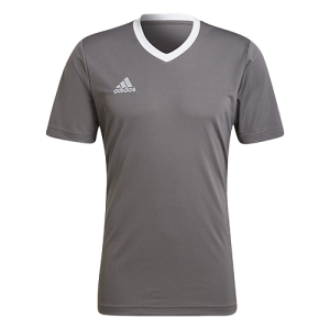 Adidas Grey jersey set - Entrada 22