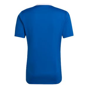 Lot de maillot Adidas Bleu Roi - Entrada 22
