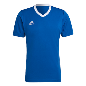 Lot de maillot Adidas Bleu Roi - Entrada 22