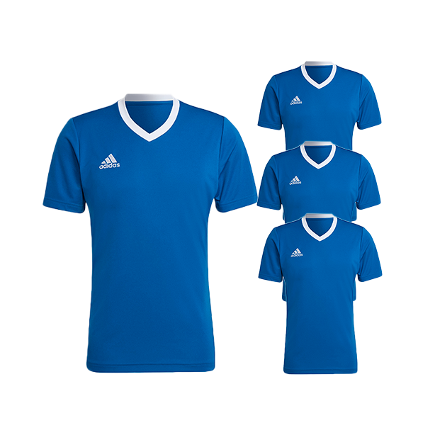 Lot de maillot Adidas Bleu Roi - Entrada 22