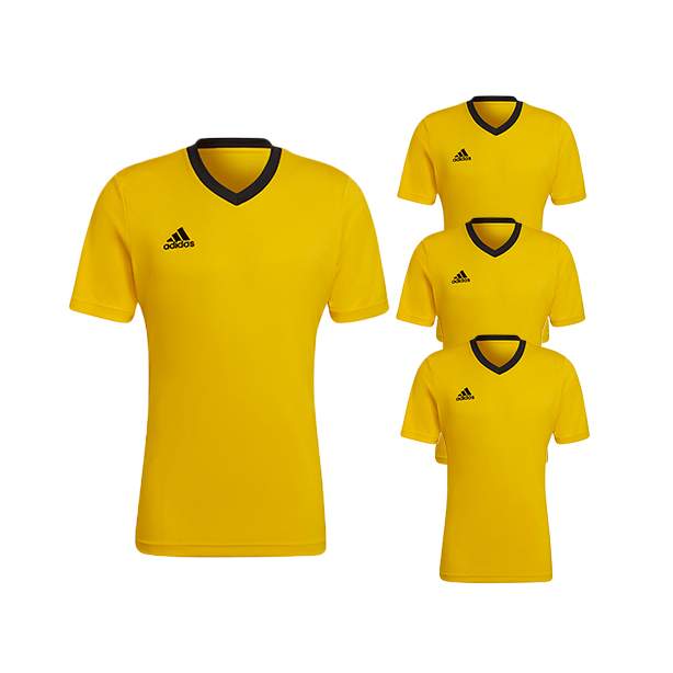 Adidas Yellow jersey set - Entrada 22