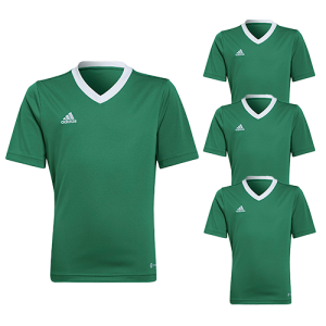 Maillot Adidas Enfant - Vert - Entrada 22