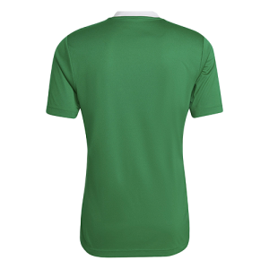 Set of Adidas jerseys Green - Entrada 22