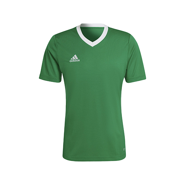 Maillot Adidas - Vert - Entrada 22
