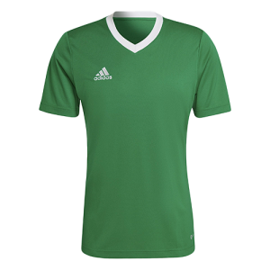 Set of Adidas jerseys Green - Entrada 22