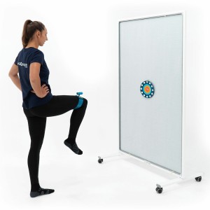 Motion Guidance - Clinician Kit