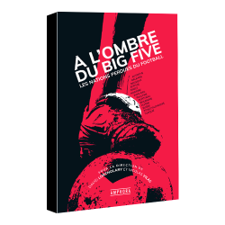 Livre : À l'ombre du Big Five