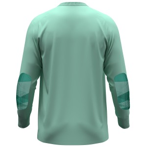 River goalkeeper jersey - Jako - Green