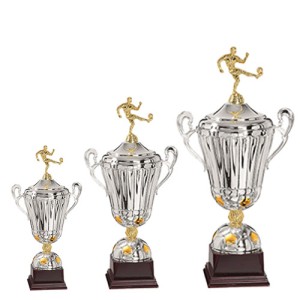 Soccer winner's cup - 3 dimensions