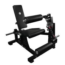 Hamstrings - Quadriceps -...