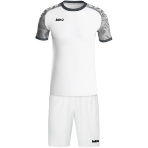 Maillot Iconic Jako - Manche courte - blanc et gris