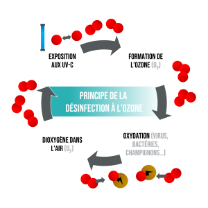 Sèche-chaussures - HYGIstore Prime - Armoire de séchage et de désinfection des chaussures de football