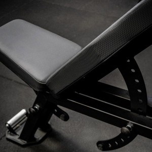 Banc de musculation Training V2