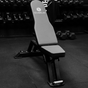 Banc de musculation Training V2