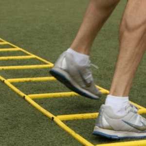 Echelle de rythme rigide pliable