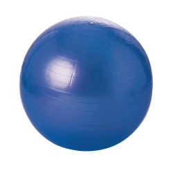 Ballon swissballl éco - 55 cm